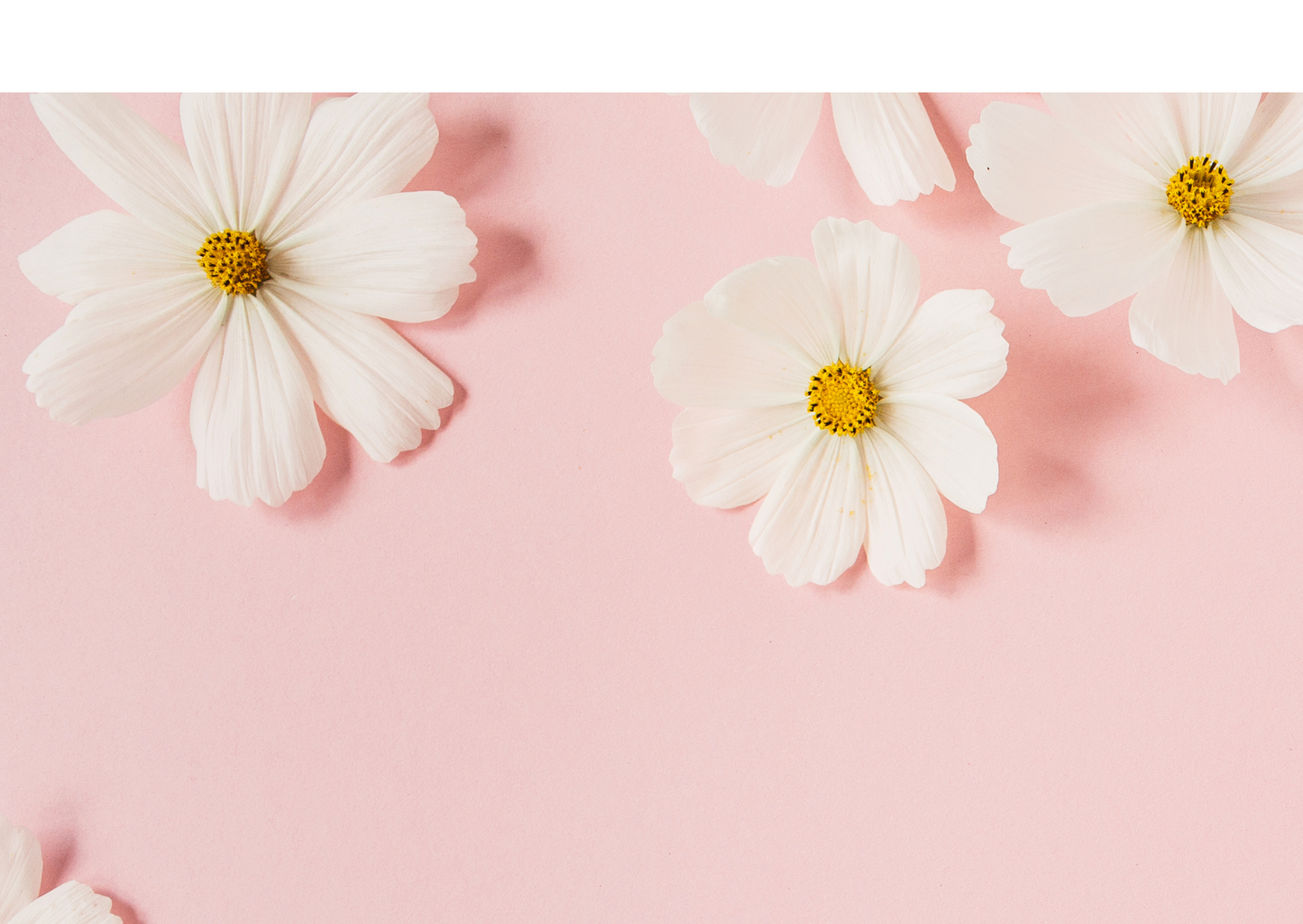 Drie-Luik Ticket Vrouwen Selfcare Cirkels 2025