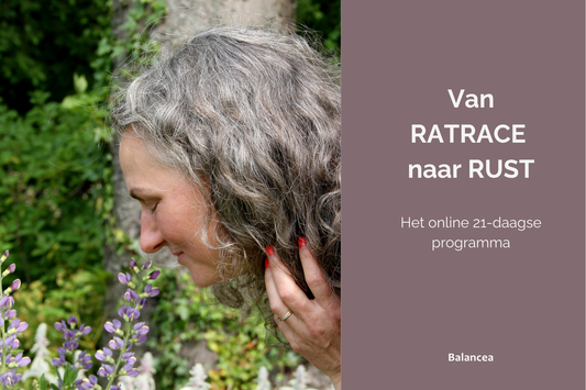 Van RATRACE naar RUST in 21 dagen
